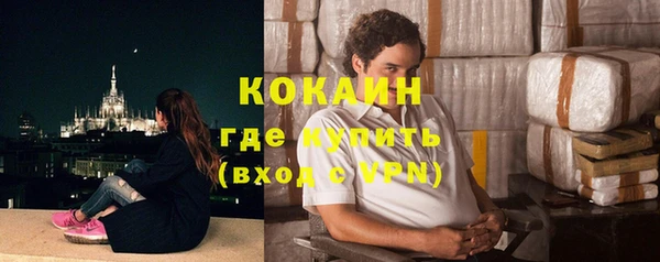 шишки Аркадак