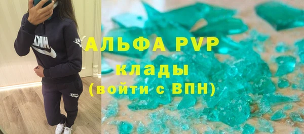 шишки Аркадак