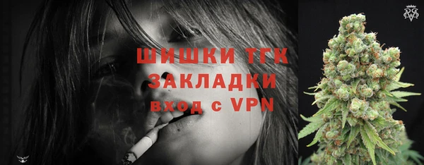 шишки Аркадак