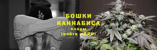 твердый Арсеньев