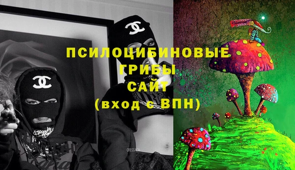 ГАЛЛЮЦИНОГЕННЫЕ ГРИБЫ Армянск