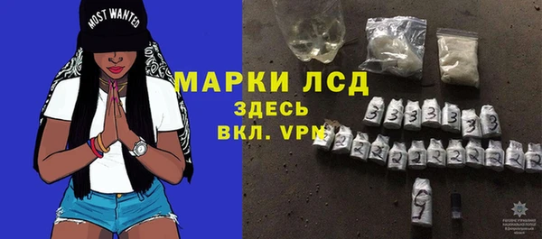 шишки Аркадак