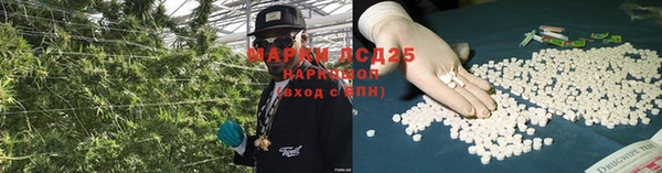 твердый Арсеньев