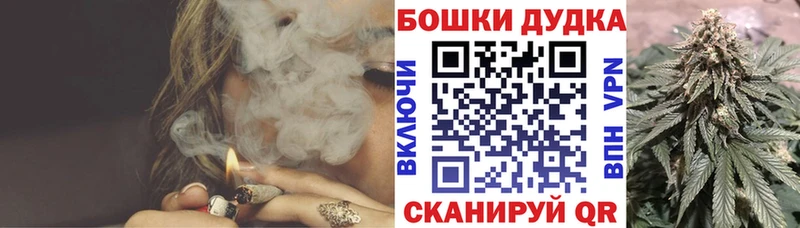 Конопля индика Сковородино